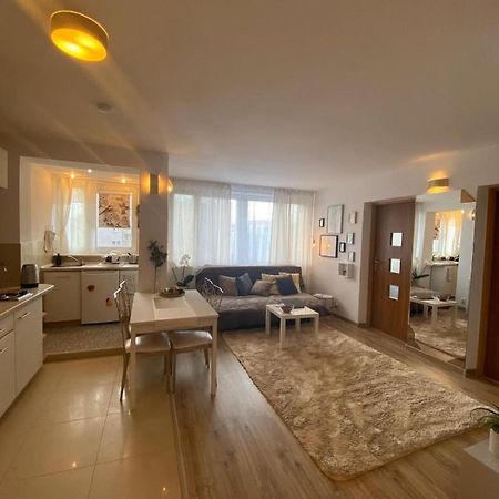 Vicky - New Apartment Centrum Srodmiescie 华沙 外观 照片
